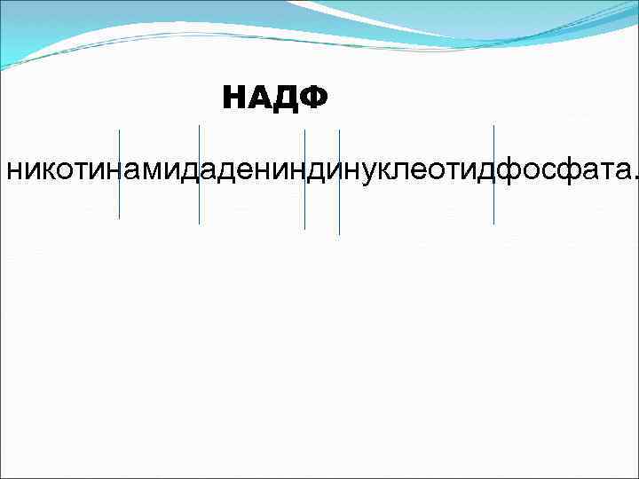 НАДФ никотинамидадениндинуклеотидфосфата. 