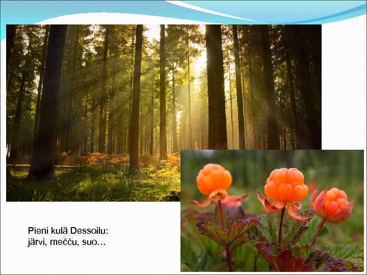 Pieni kulä Dessoilu: järvi, mečču, suo… 