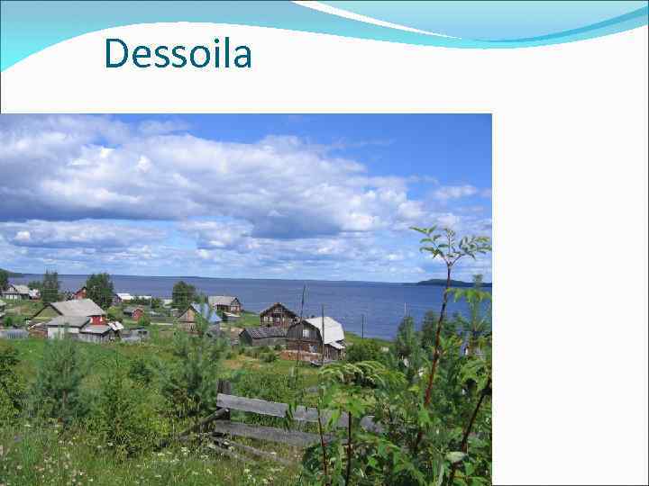 Dessoila 