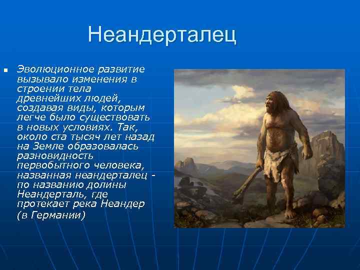 Неандерталец n Эволюционное развитие вызывало изменения в строении тела древнейших людей, создавая виды, которым