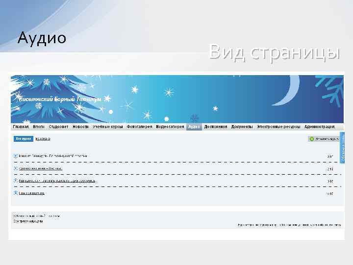 Аудио Вид страницы 