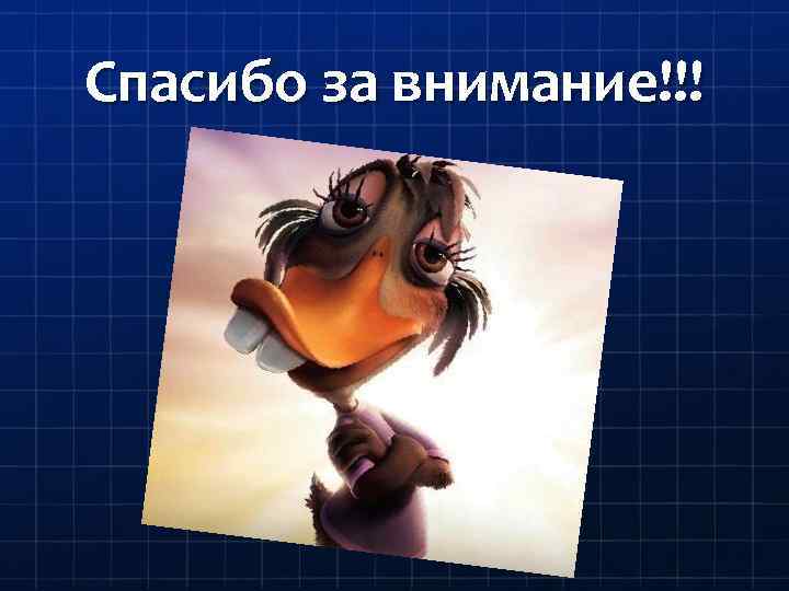 Спасибо за внимание!!! 