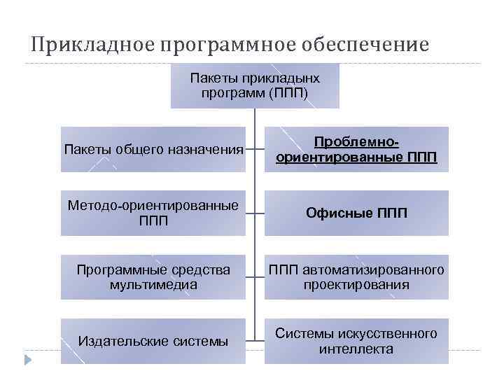 Пакеты прикладных программ по профилю специальности освоение и профессиональная работа презентация