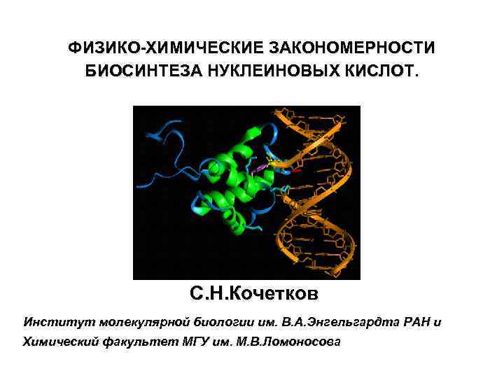 ФИЗИКО-ХИМИЧЕСКИЕ ЗАКОНОМЕРНОСТИ БИОСИНТЕЗА НУКЛЕИНОВЫХ КИСЛОТ. С. Н. Кочетков Институт молекулярной биологии им. В. А.
