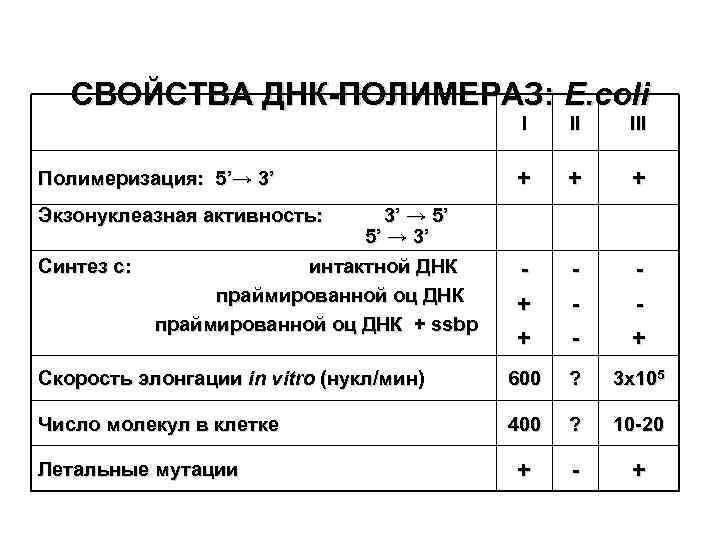 Активности днк полимераз. Характеристика ДНК полимераз. Экзонуклеазная активность ДНК полимеразы. 5 3 Экзонуклеазная активность. Физико-химические свойства ДНК.