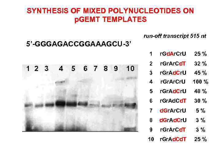 SYNTHESIS OF MIXED POLYNUCLEOTIDES ON p. GEMT TEMPLATES run-off transcript 515 nt 5’-GGGAGACCGGAAAGCU-3’ 1