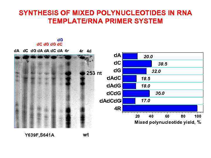 SYNTHESIS OF MIXED POLYNUCLEOTIDES IN RNA TEMPLATE/RNA PRIMER SYSTEM d. G d. C d.