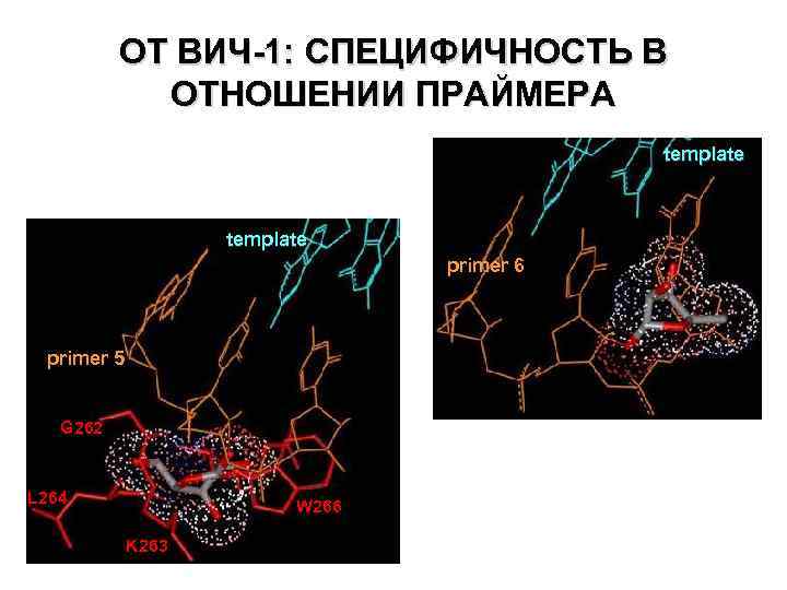 ОТ ВИЧ-1: СПЕЦИФИЧНОСТЬ В ОТНОШЕНИИ ПРАЙМЕРА template primer 6 primer 5 G 262 L
