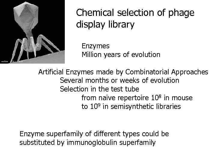 Chemical selection of phage display library Enzymes Million years of evolution Artificial Enzymes made
