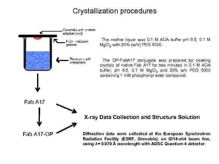 Crystallization procedures The mother liquor was 0. 1 M ADA buffer p. H 6.