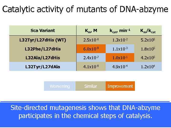 Catalytic activity of mutants of DNA-abzyme Sca Variant Km , M kcat, min-1 Km/kcat