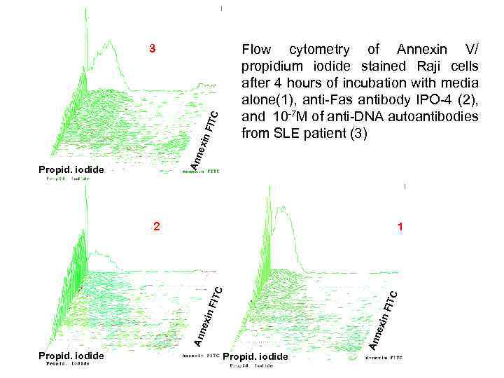 Flow cytometry of Annexin V/ propidium iodide stained Raji cells after 4 hours of
