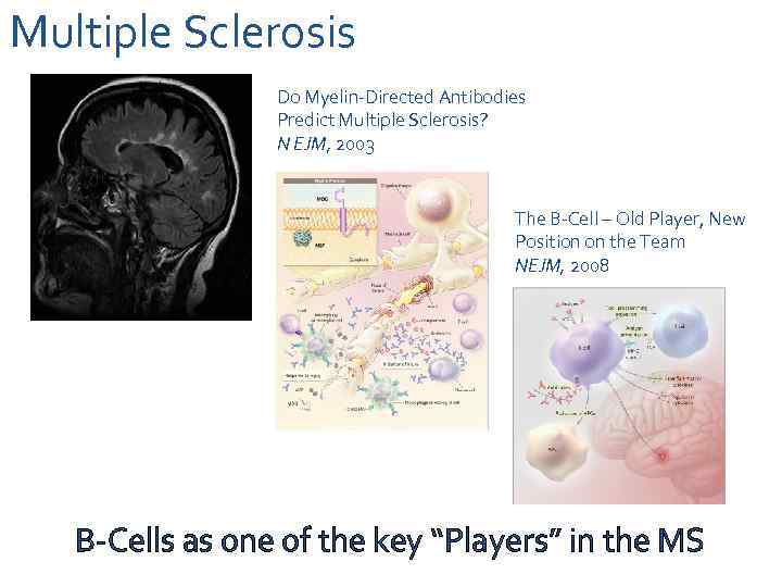 Multiple Sclerosis Do Myelin-Directed Antibodies Predict Multiple Sclerosis? N EJM, 2003 The B-Cell –