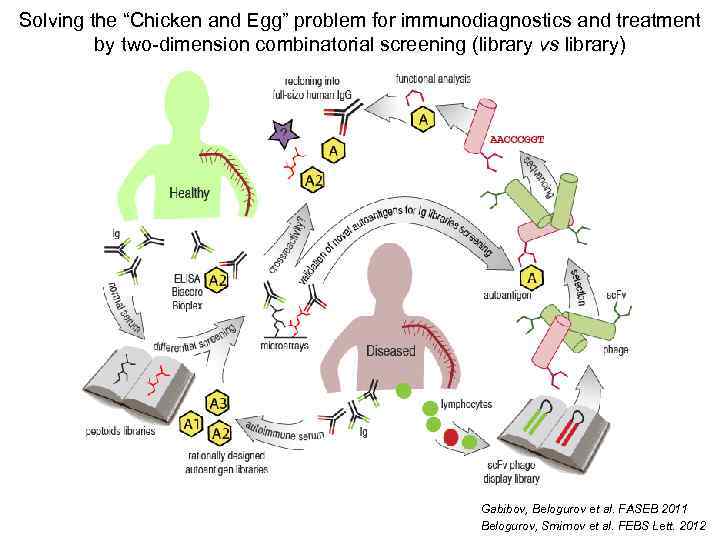 Solving the “Chicken and Egg” problem for immunodiagnostics and treatment by two-dimension combinatorial screening