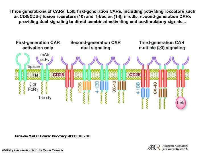 Three generations of CARs. Left, first-generation CARs, including activating receptors such as CD 8/CD