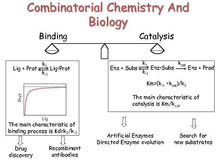 Combinatorial Chemistry And Biology Binding Lig + Prot k 1 k-1 Lig*Prot Catalysis Enz