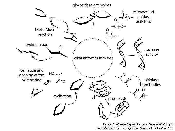 Enzyme Catalysis in Organic Synthesis. Chapter 14. Catalytic antibodies. Smirnov I. , Belogurov A.