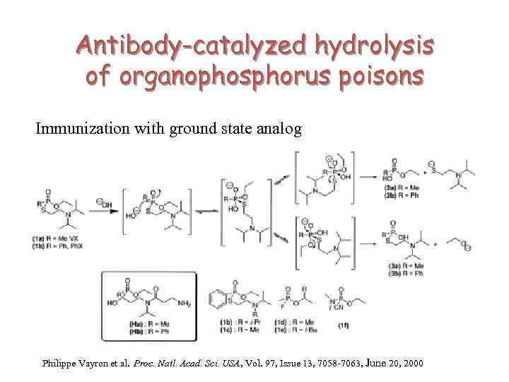 Antibody-catalyzed hydrolysis of organophosphorus poisons Immunization with ground state analog Philippe Vayron et al.