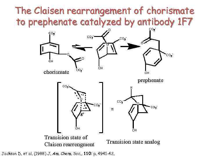 The Claisen rearrangement of chorismate to prephenate catalyzed by antibody 1 F 7 chorismate