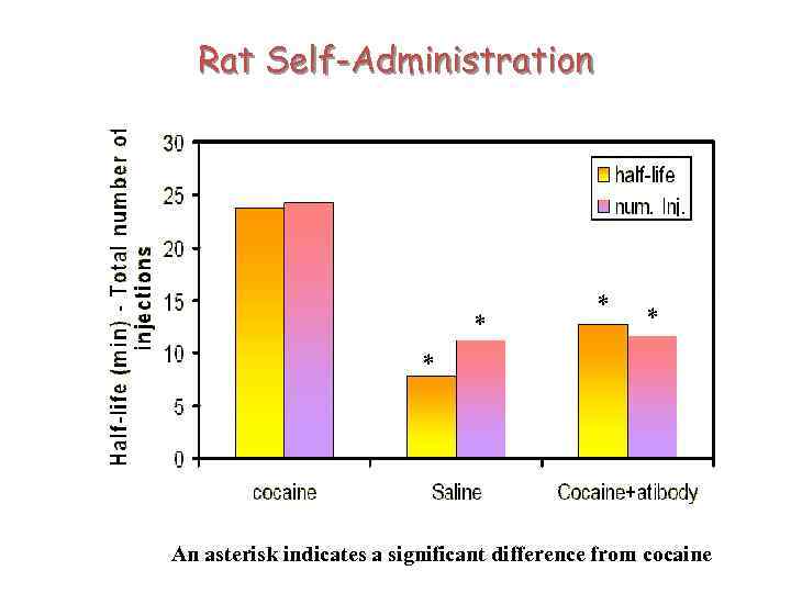 Rat Self-Administration * * An asterisk indicates a significant difference from cocaine 