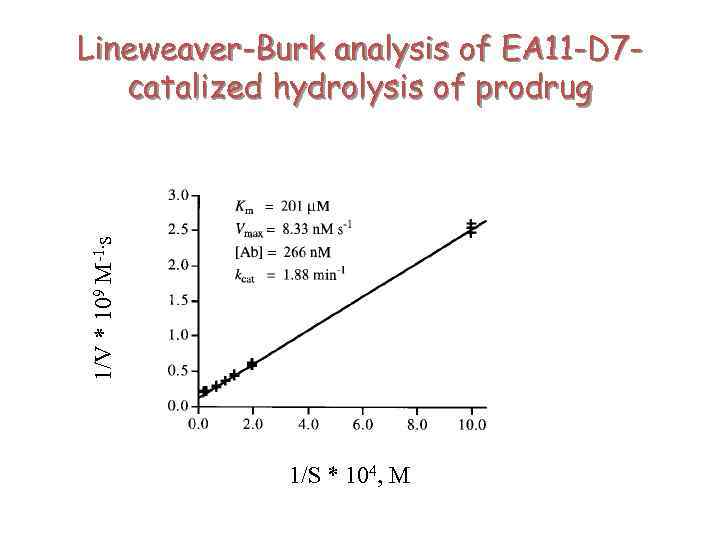 1/V * 109 M-1. s Lineweaver-Burk analysis of EA 11 -D 7 catalized hydrolysis