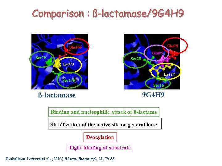 Comparison : ß-lactamase/9 G 4 H 9 Glu 98 Glu 166 Gln 95 Ser