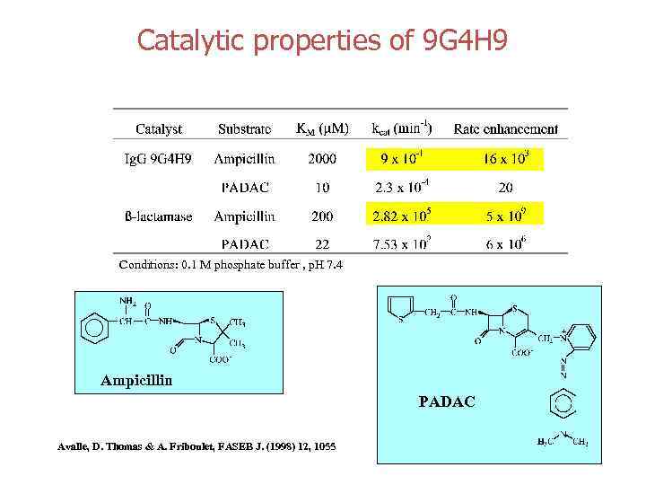 Catalytic properties of 9 G 4 H 9 Conditions: 0. 1 M phosphate buffer