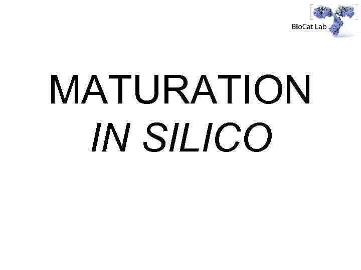 MATURATION IN SILICO 