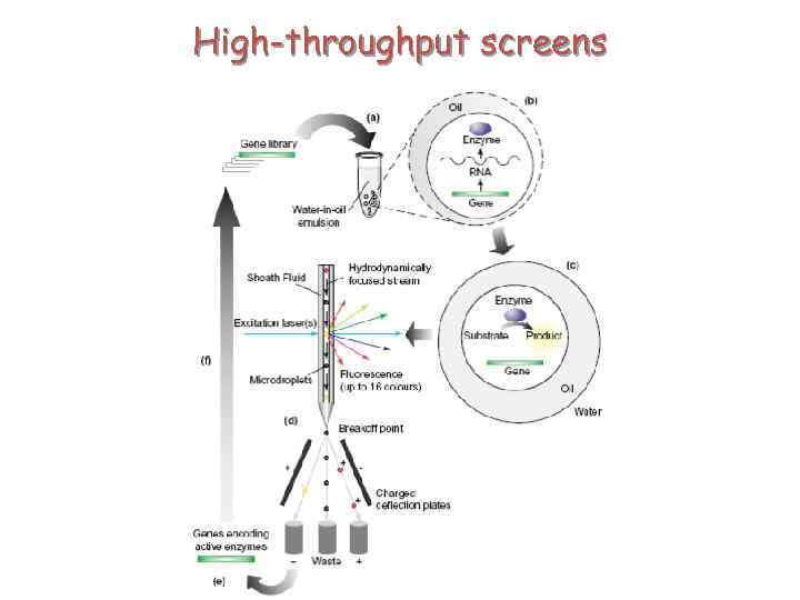 High-throughput screens 