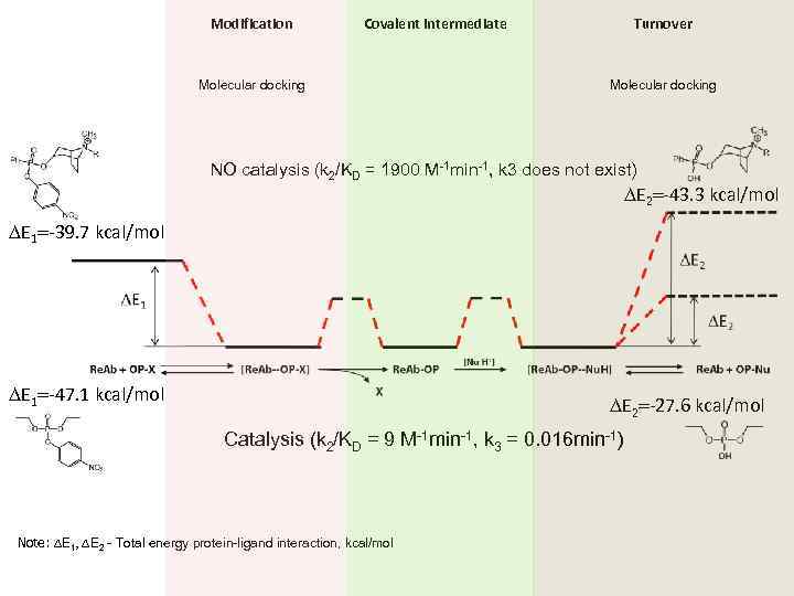 Modification Covalent intermediate Molecular docking Turnover Molecular docking NO catalysis (k 2/KD = 1900