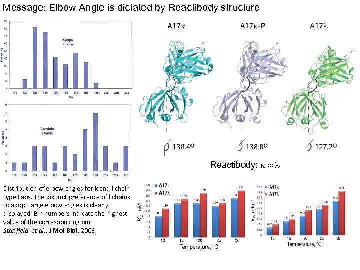 Message: Elbow Angle is dictated by Reactibody structure Reactibody: k l Distribution of elbow