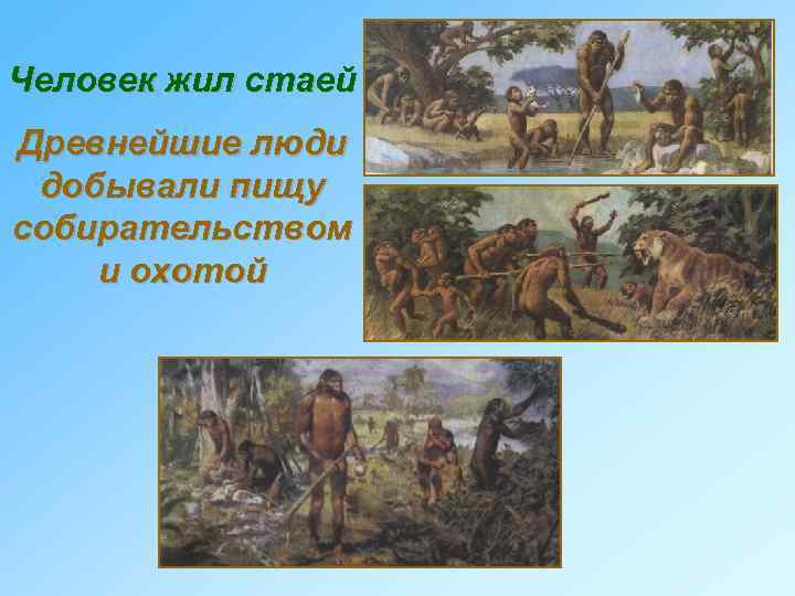 Человек жил стаей Древнейшие люди добывали пищу собирательством и охотой 