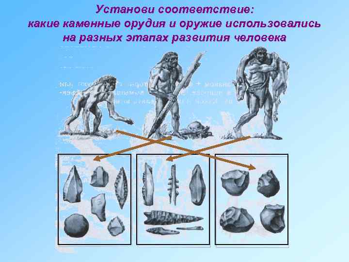 Рассмотрите изображение дайте название этапам развития человека. Этапы развития орудий труда. Орудия человека разумного. Эволюция орудий человека. Эволюция орудий труда человека.