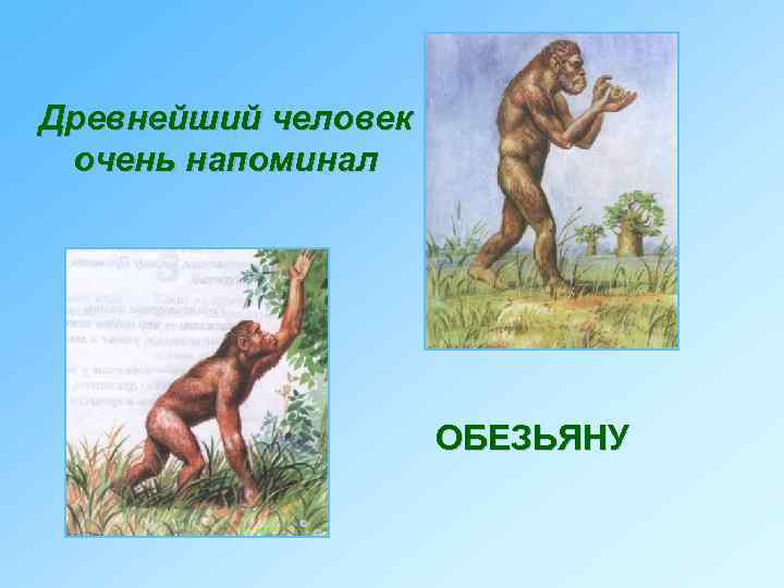Древнейший человек очень напоминал ОБЕЗЬЯНУ 