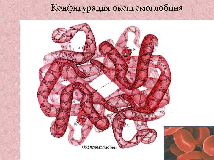 Конфигурация оксигемоглобина 