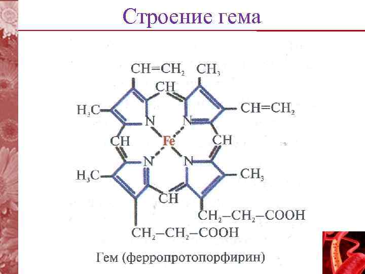 Напишите строение. Строение гема биохимия. Гемоглобин строение и структура гема. Структура и функция гемоглобина полная структура гема биохимия. Структура гемоглобина а1.