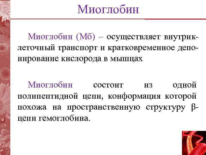 Миоглобин (Мб) – осуществляет внутриклеточный транспорт и кратковременное депонирование кислорода в мышцах Миоглобин состоит