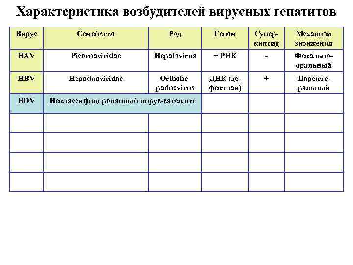 Характеристика возбудителей вирусных гепатитов Вирус Семейство Род Геном Суперкапсид Механизм заражения HAV Picornaviridae Hepatovirus