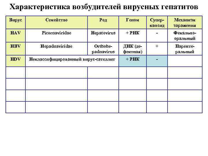 Характеристика возбудителей вирусных гепатитов Вирус Семейство Род Геном Суперкапсид Механизм заражения HAV Picornaviridae Hepatovirus
