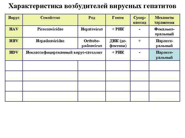 Характеристика возбудителей вирусных гепатитов Вирус Семейство Род Геном Суперкапсид Механизм заражения HAV Picornaviridae Hepatovirus