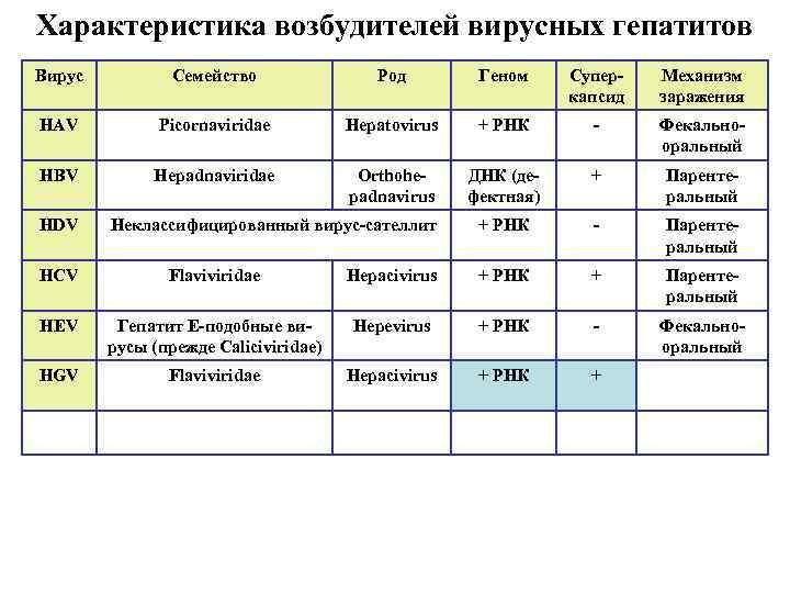 Характеристика возбудителей вирусных гепатитов Вирус Семейство Род Геном Суперкапсид Механизм заражения HAV Picornaviridae Hepatovirus