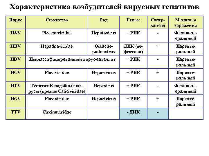 Характеристика возбудителей вирусных гепатитов Вирус Семейство Род Геном Суперкапсид Механизм заражения HAV Picornaviridae Hepatovirus