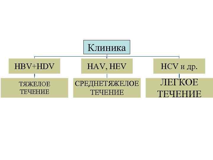 Клиника HBV+HDV HAV, HEV HCV и др. ТЯЖЕЛОЕ ТЕЧЕНИЕ СРЕДНЕТЯЖЕЛОЕ ТЕЧЕНИЕ ЛЕГКОЕ ТЕЧЕНИЕ 