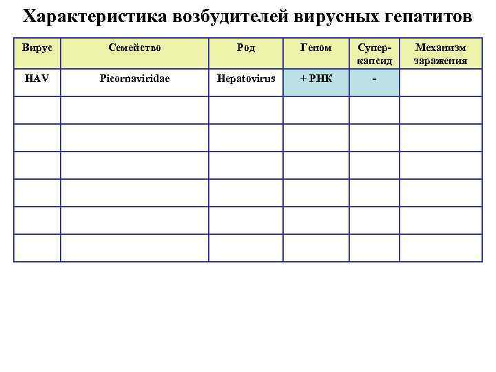 Характеристика возбудителей вирусных гепатитов Вирус Семейство Род Геном Суперкапсид HAV Picornaviridae Hepatovirus + РНК