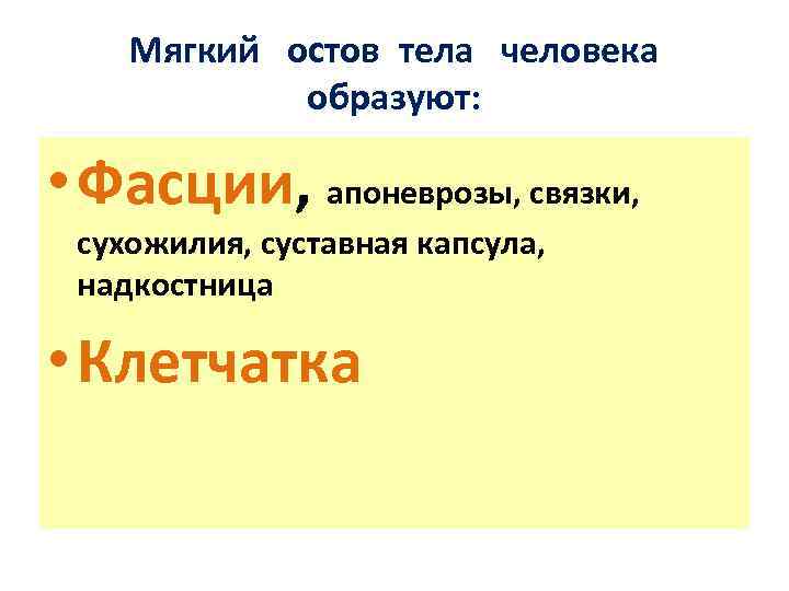 Мягкий остов тела человека образуют: • Фасции, апоневрозы, связки, сухожилия, суставная капсула, надкостница •