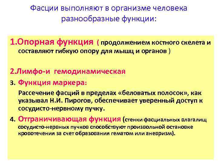 Фасции выполняют в организме человека разнообразные функции: 1. Опорная функция ( продолжением костного скелета