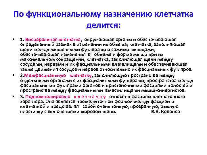 По функциональному назначению клетчатка делится: • • • 1. Висцеральная клетчатка, окружающая органы и