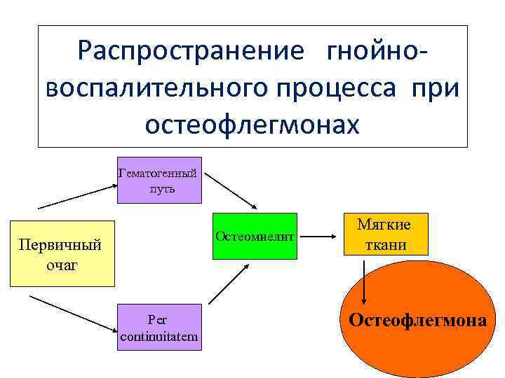 Распространение гнойновоспалительного процесса при остеофлегмонах Гематогенный путь Остеомиелит Первичный очаг Per continuitatem Мягкие ткани