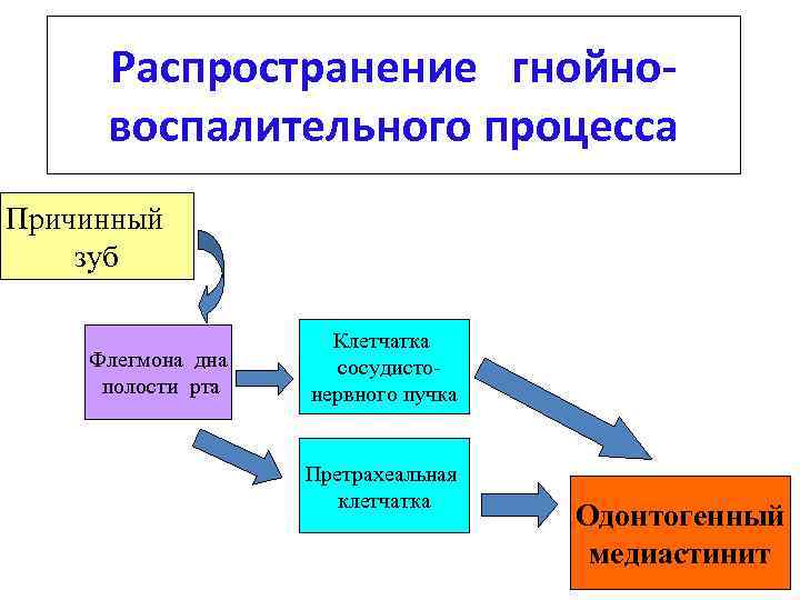 Распространение гнойновоспалительного процесса Причинный зуб Флегмона дна полости рта Клетчатка сосудистонервного пучка Претрахеальная клетчатка