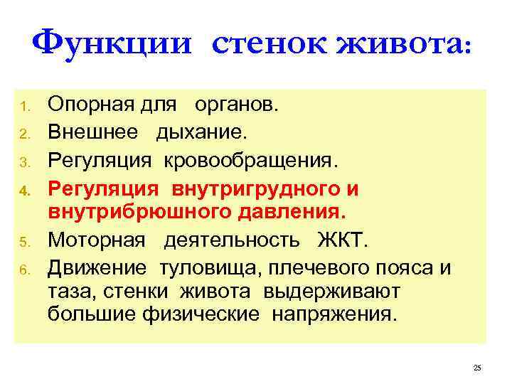 Функции стенок живота: 1. 2. 3. 4. 5. 6. Опорная для органов. Внешнее дыхание.